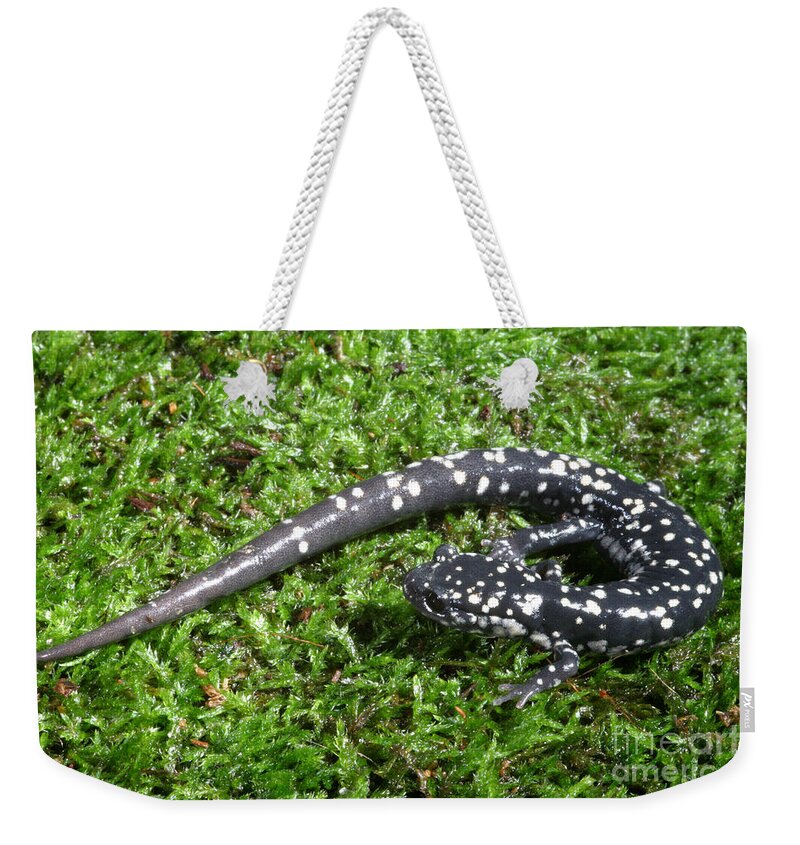 Animal Weekender Tote Bag featuring the photograph Slimy Salamander #3 by Ted Kinsman