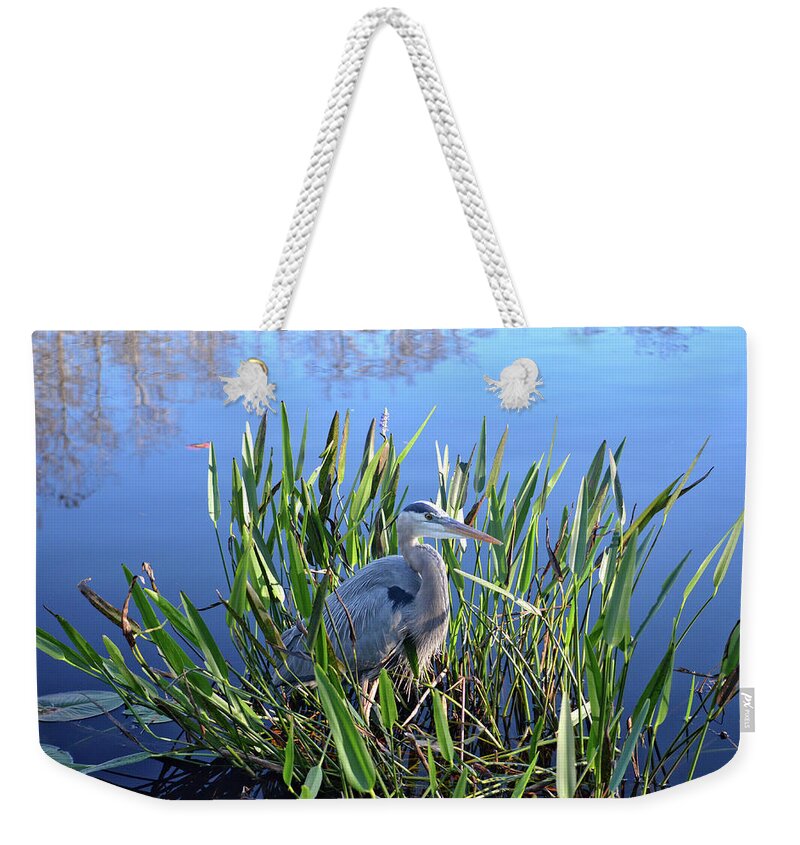 Great Blue Heron Weekender Tote Bag featuring the photograph 30- Great Blue Heron by Joseph Keane