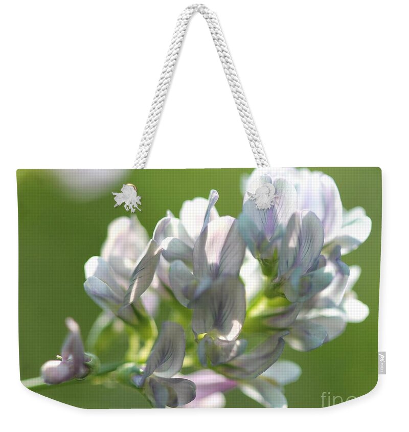 Alfalfa Medicago Sativa Weekender Tote Bag featuring the photograph Alfalfa in Shades of White #4 by J McCombie