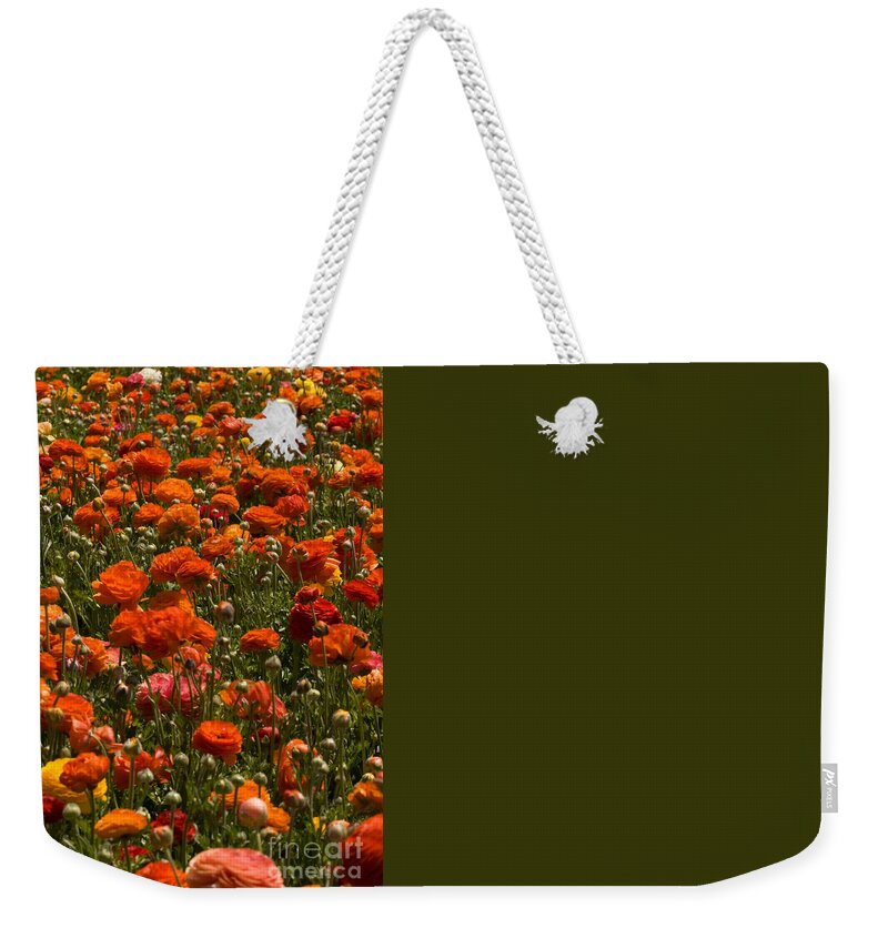 Flowers Weekender Tote Bag featuring the photograph Flower Fields #45 by Daniel Knighton