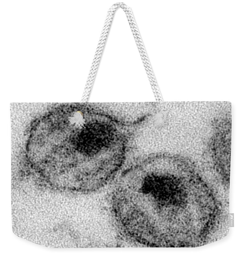 Transmission Electron Micrograph Weekender Tote Bag featuring the photograph Hiv #5 by Science Source