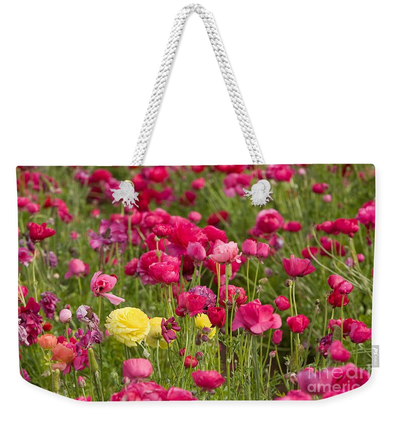 Flowers Weekender Tote Bag featuring the photograph Flower Fields #7 by Daniel Knighton