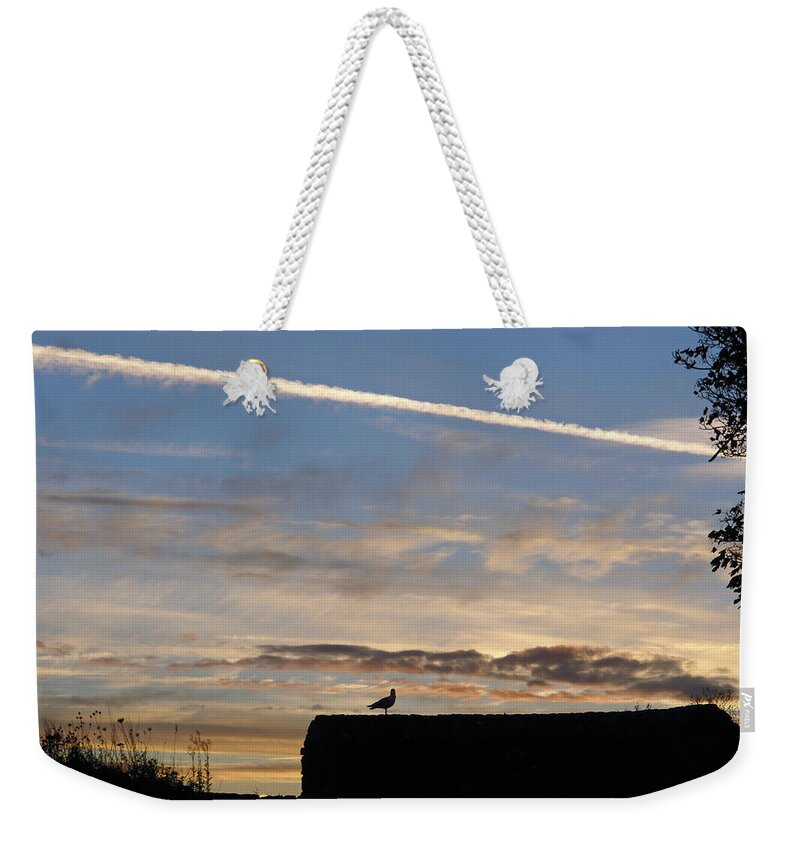 Dover Weekender Tote Bag featuring the photograph A bird outlined against the setting sky at Dover Castle by Ashish Agarwal