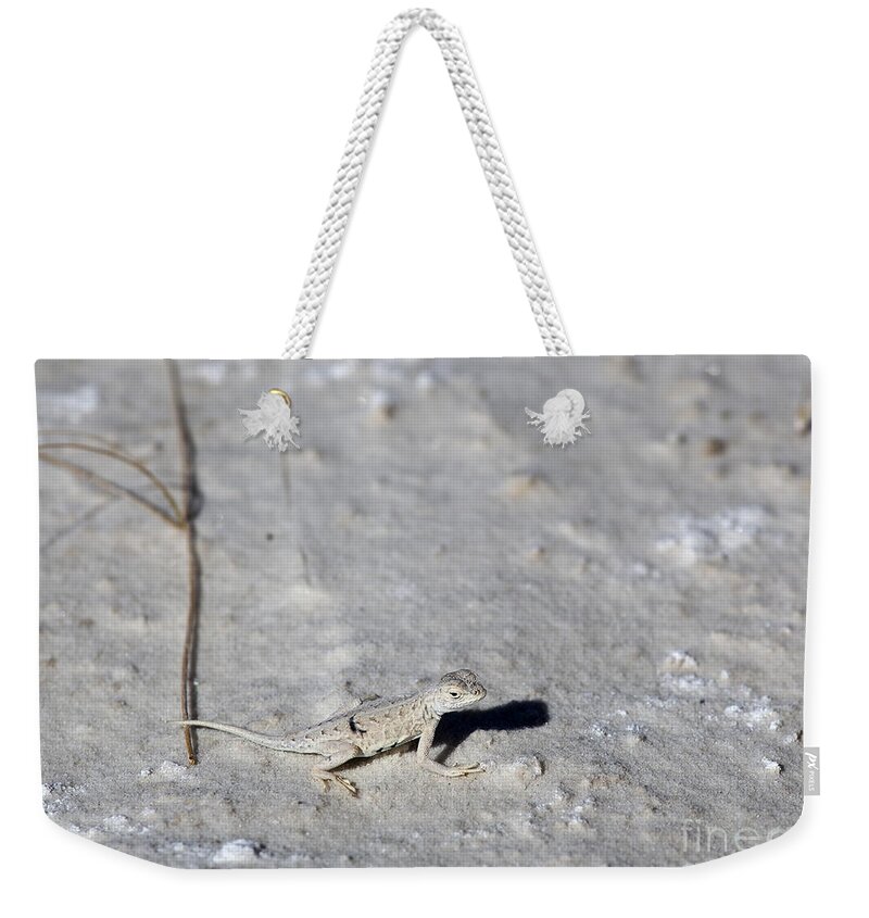 Lizard Weekender Tote Bag featuring the photograph A Bleached Earless Lizard by Greg Dimijian