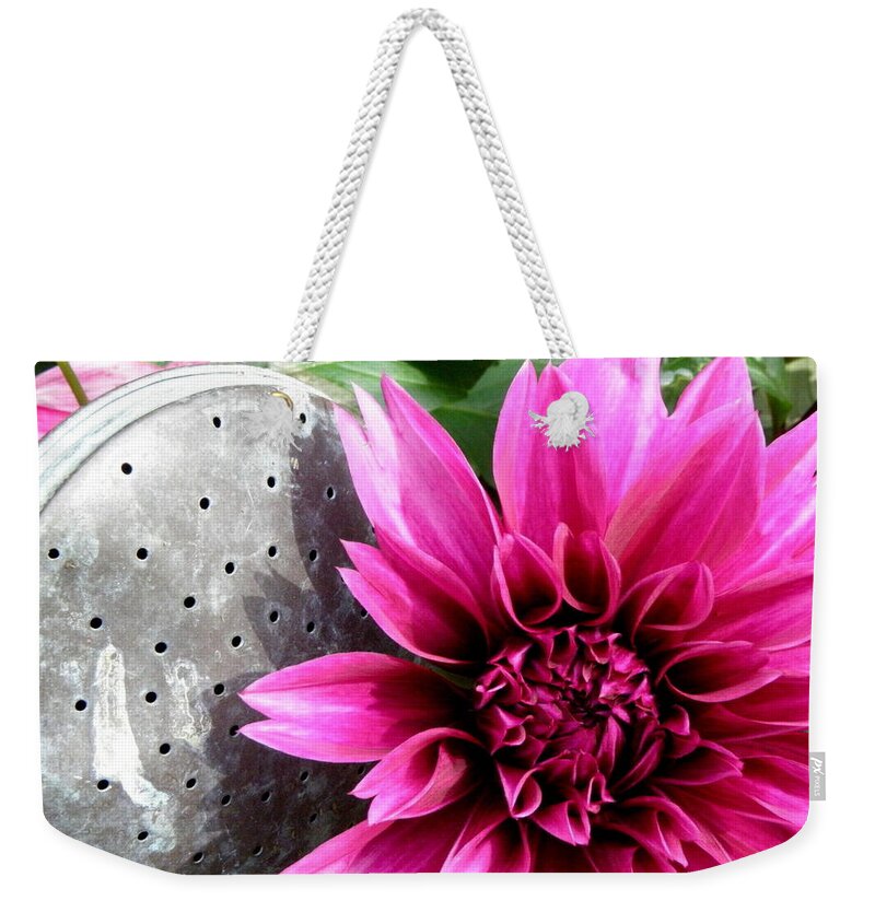 Dahlia Weekender Tote Bag featuring the photograph A Country Flower by Kim Galluzzo Wozniak