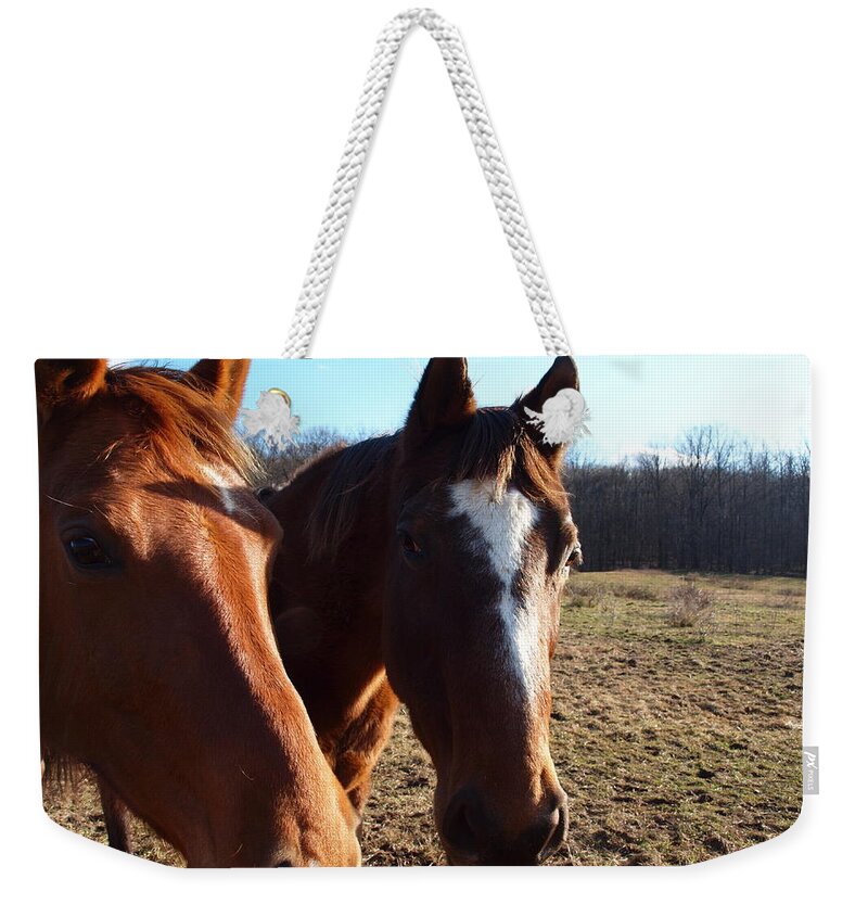Horses Weekender Tote Bag featuring the photograph A Cowboys Best Friend by Robert Margetts