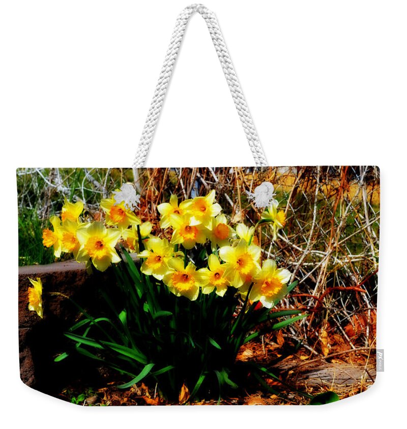 Daffodils Weekender Tote Bag featuring the photograph A Crowd by Diane montana Jansson