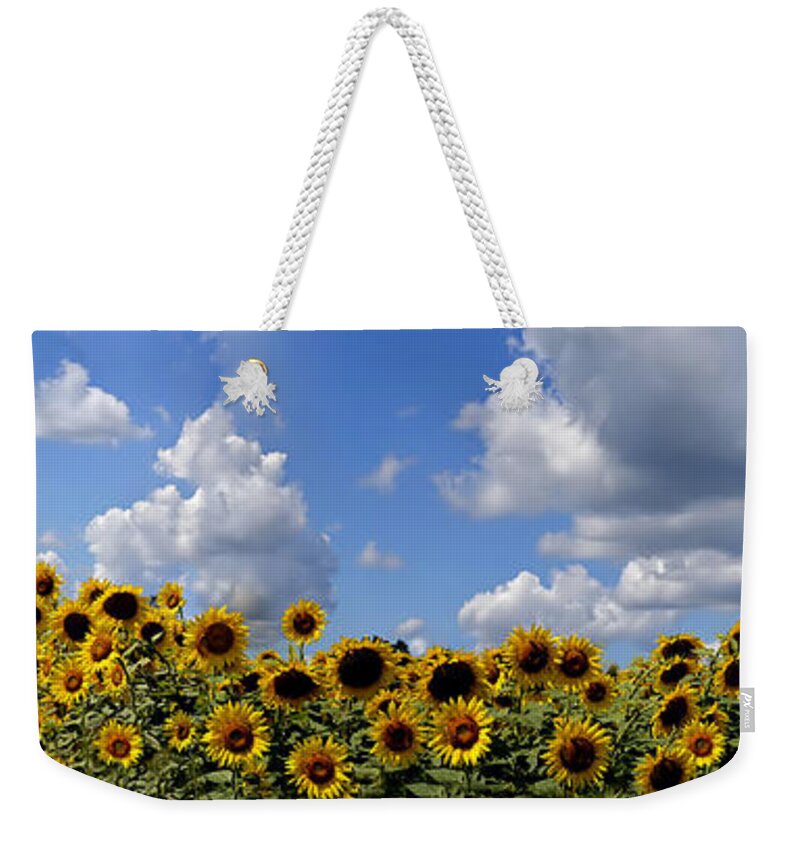 Sunfolwer Weekender Tote Bag featuring the photograph A Field of Gold by Richard Ortolano