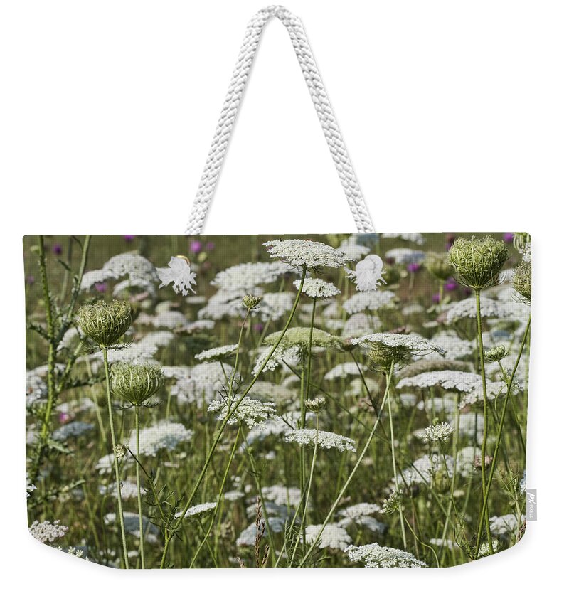 Daucus Carota Weekender Tote Bag featuring the photograph A Field of Queen Annes Lace by Kathy Clark