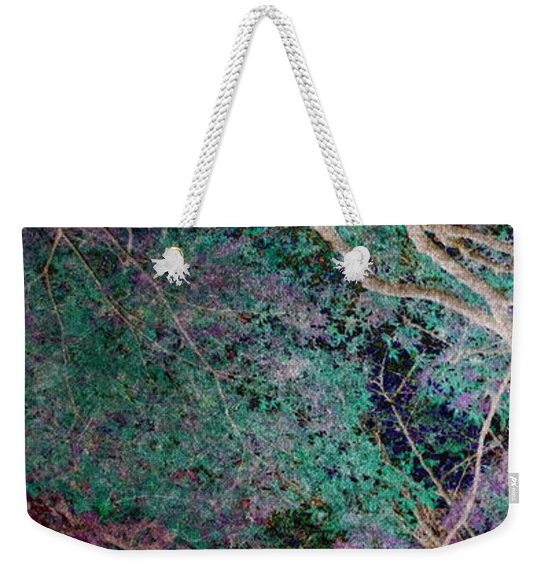 Forest Weekender Tote Bag featuring the photograph A Forest of Magic by Eena Bo