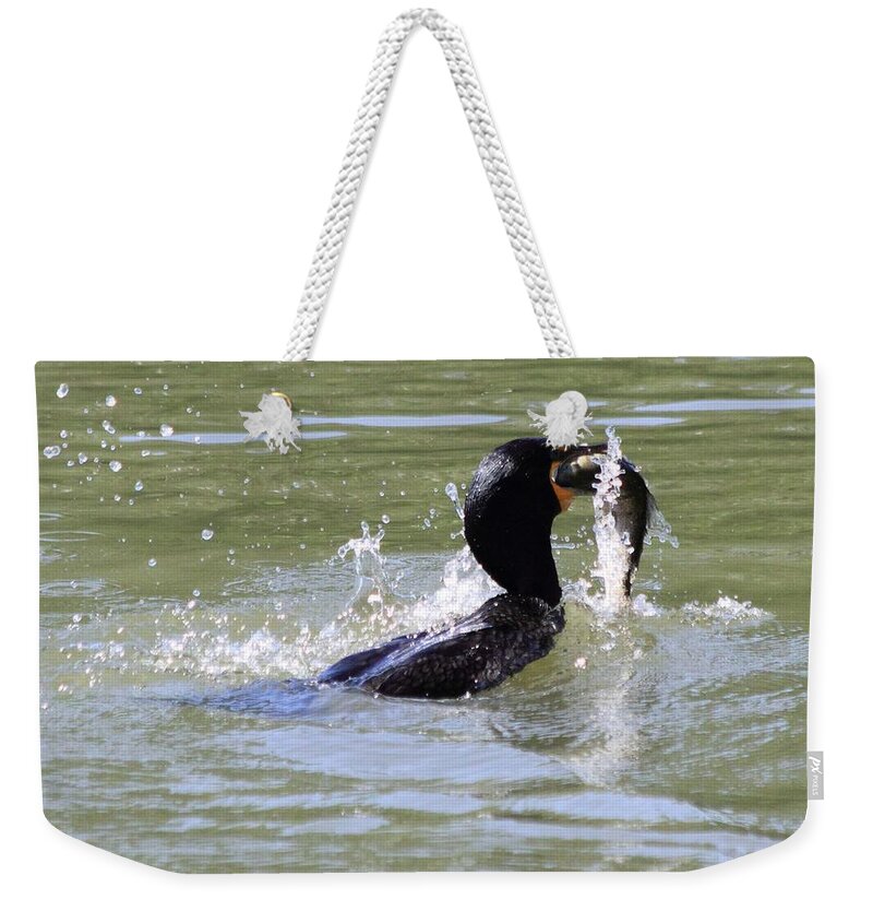 Cormorant Weekender Tote Bag featuring the photograph A Fresh Meal by Shane Bechler