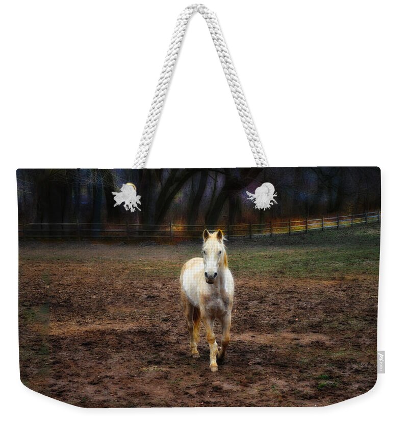 A Horse Of Course Weekender Tote Bag featuring the photograph A Horse of Course by Bill Cannon