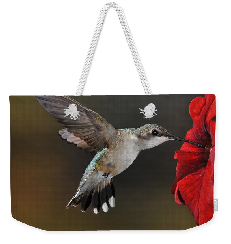 Avian Weekender Tote Bag featuring the photograph A Lady at Lunch by Mike Martin