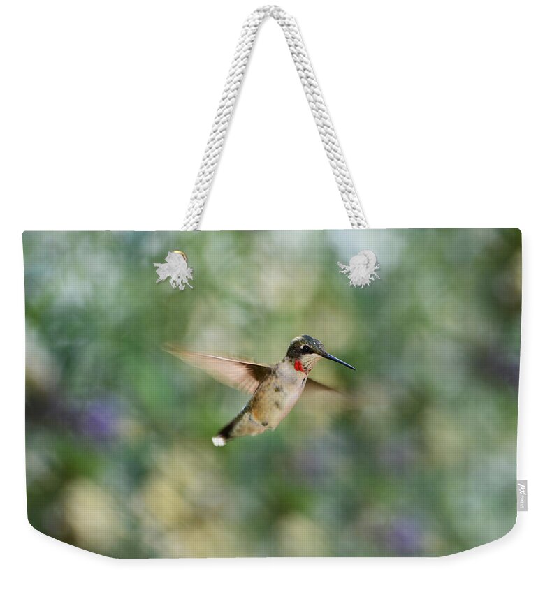 Hummingbird Weekender Tote Bag featuring the photograph A Little Flash of Red by Lori Tambakis