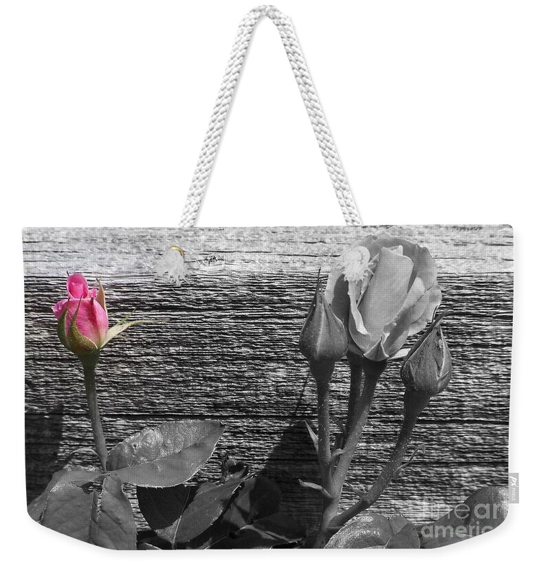 Roses Weekender Tote Bag featuring the photograph A Pop of Pink by Dorrene BrownButterfield