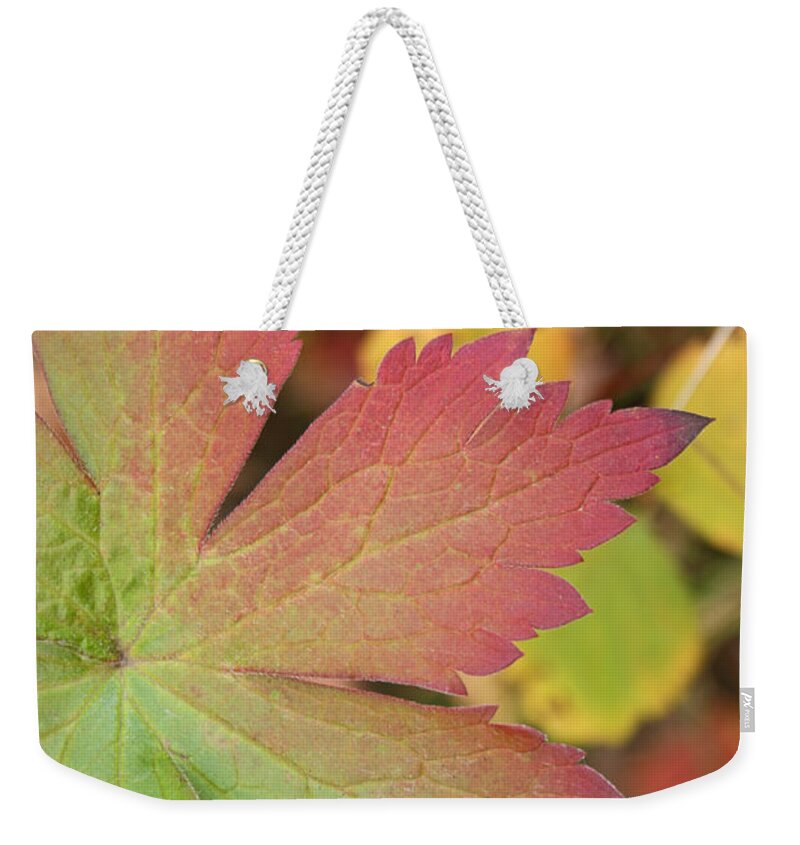 Leaves Weekender Tote Bag featuring the photograph A Touch of Fall by Angie Schutt