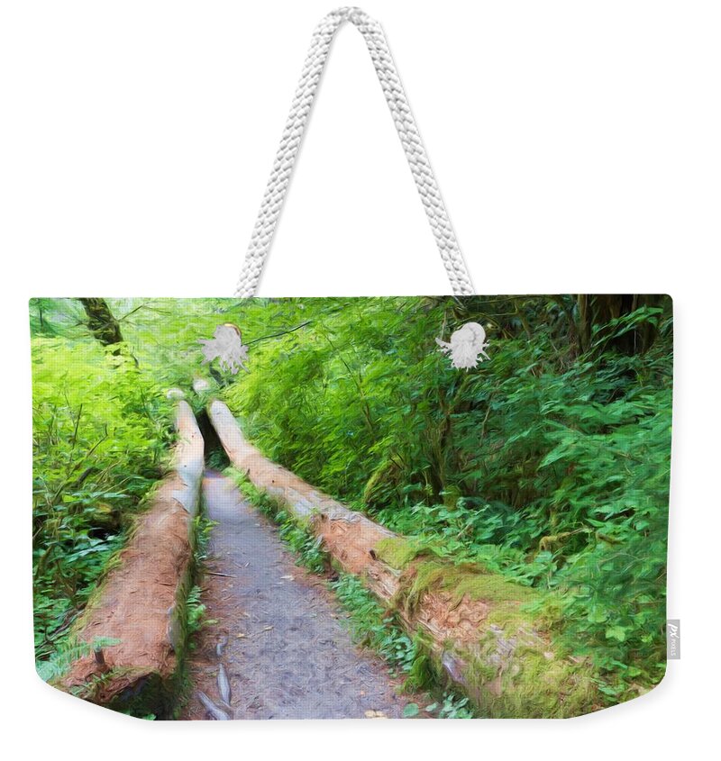 Hall Of Mosses Weekender Tote Bag featuring the photograph A Well Marked Path by Heidi Smith
