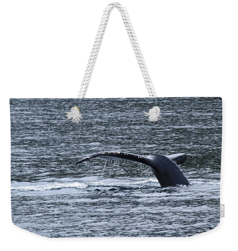 A Whale's Tale Weekender Tote Bag featuring the photograph A Whale's Tale by Wes and Dotty Weber