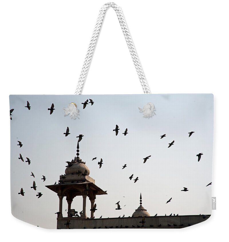 Delhi Weekender Tote Bag featuring the photograph A whole flock of pigeons on the top of the ramparts of the Red Fort in New Delhi by Ashish Agarwal