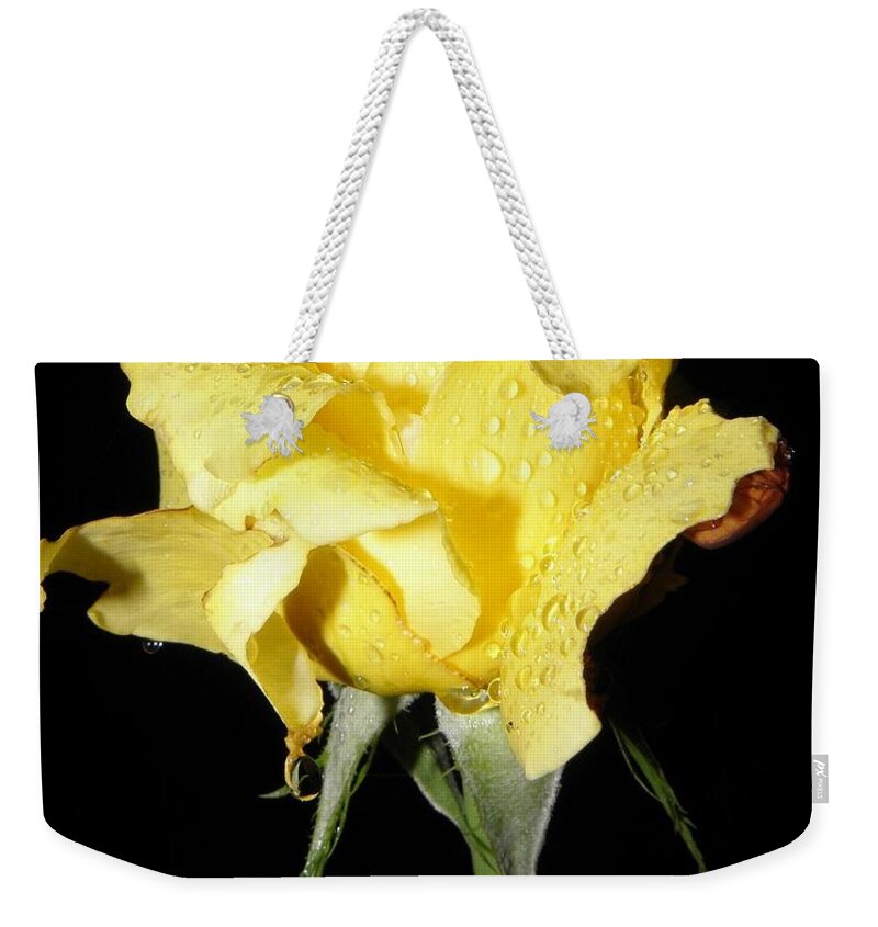 Yellow Weekender Tote Bag featuring the photograph A Yellow Rose For You by Kim Galluzzo