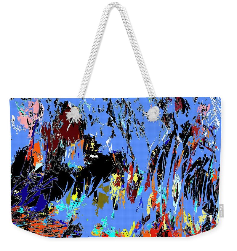 Abstract Weekender Tote Bag featuring the photograph Abstract 6 by Burney Lieberman