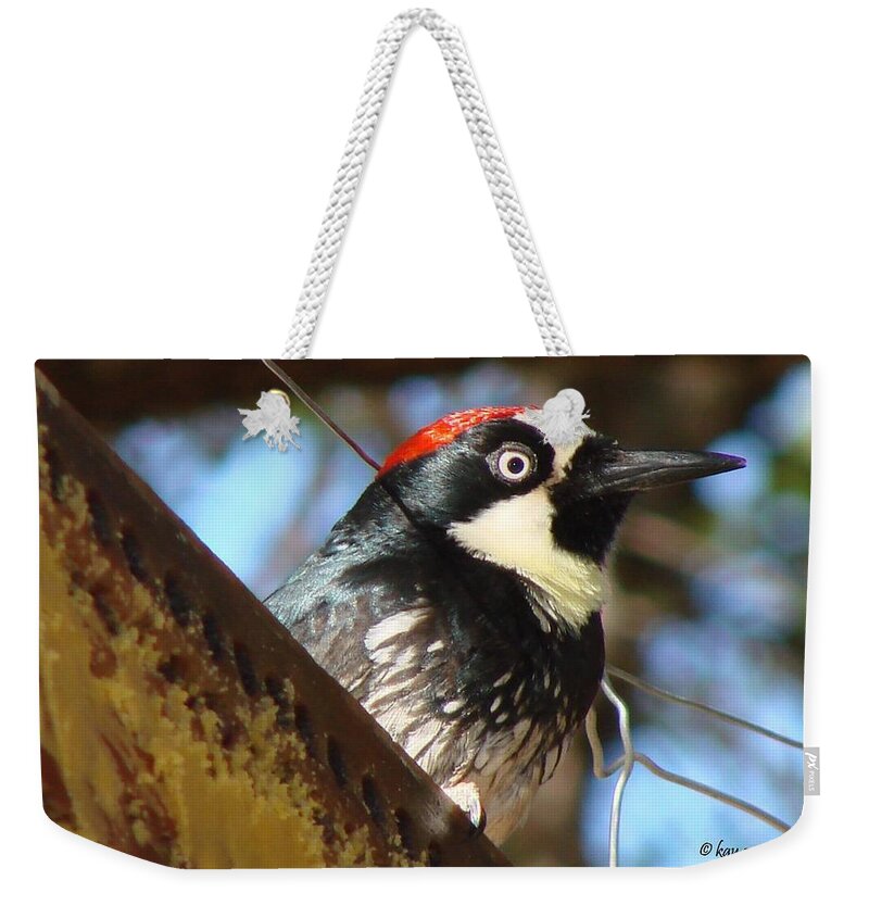 Birds Weekender Tote Bag featuring the photograph Acorn Woodpecker by Linda Cox