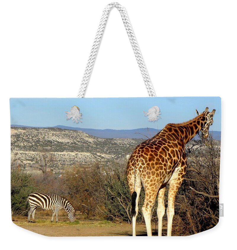 Giraffe Weekender Tote Bag featuring the photograph African Safari in Arizona by Kim Galluzzo Wozniak