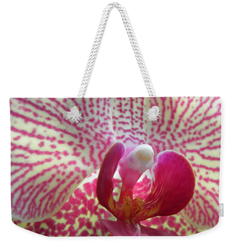 Orchid Weekender Tote Bag featuring the photograph Alluring Orchid by Kim Galluzzo