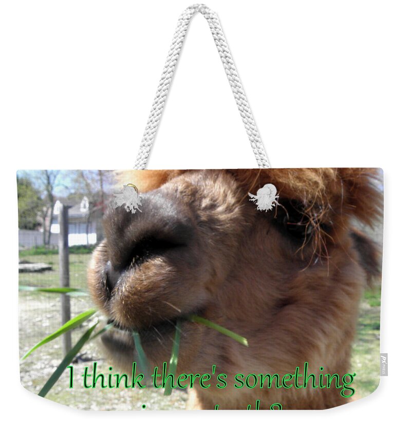 Alpaca Weekender Tote Bag featuring the photograph Alpaca being silly by Kim Galluzzo Wozniak