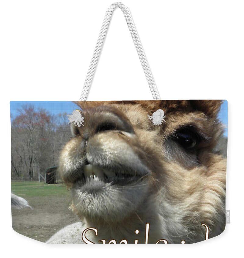 Alpaca Weekender Tote Bag featuring the photograph Alpaca Smile by Kim Galluzzo Wozniak