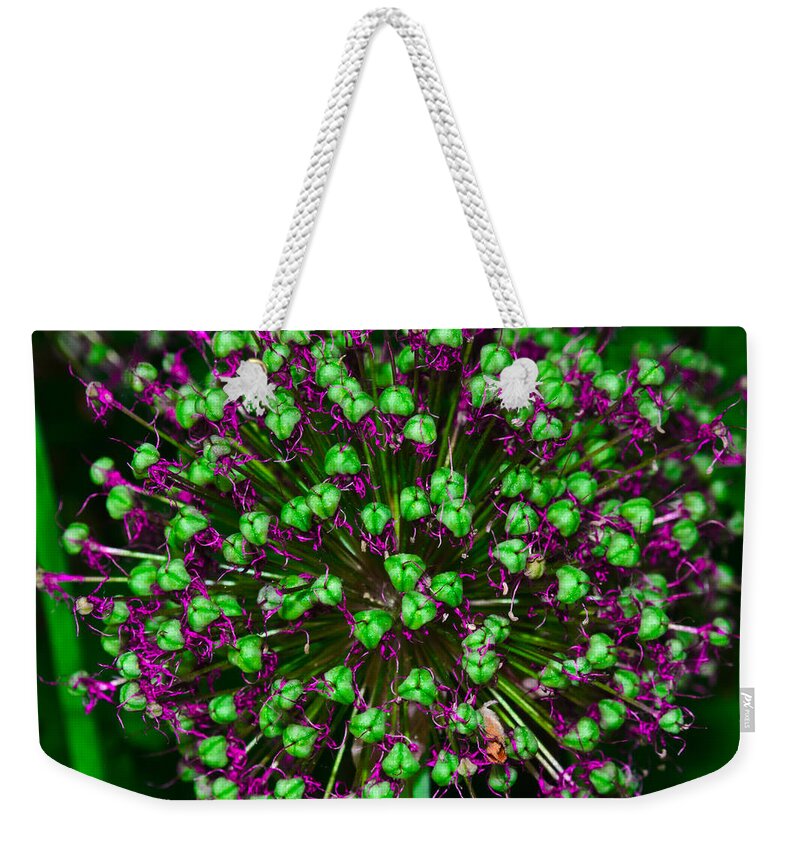 Closeup Weekender Tote Bag featuring the photograph Alpine bow by Michael Goyberg