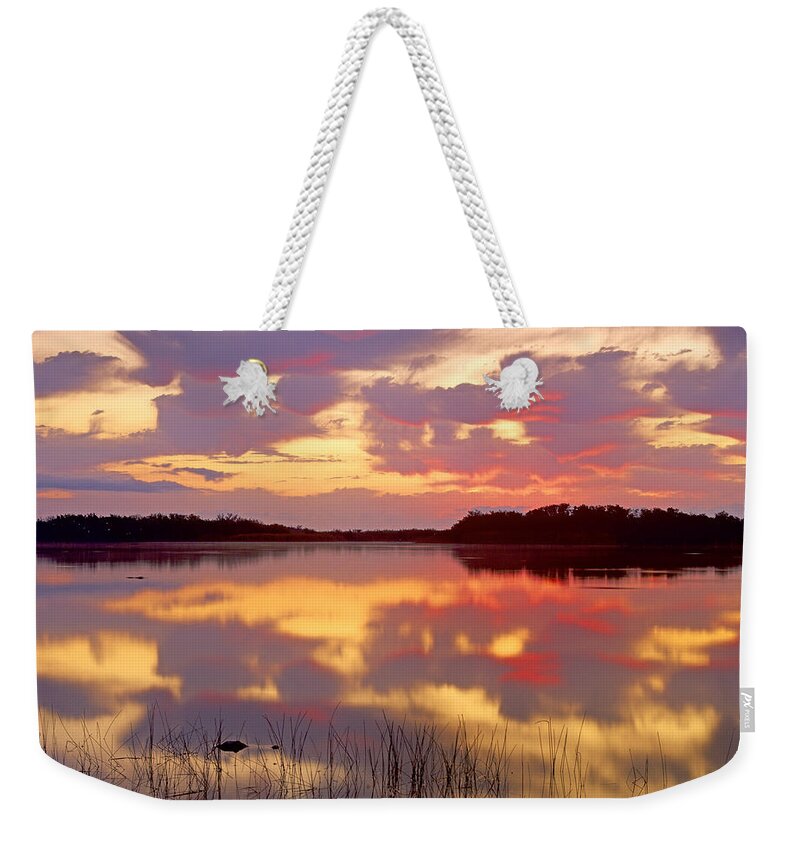 00175654 Weekender Tote Bag featuring the photograph American Alligator Surfacing In Nine by Tim Fitzharris