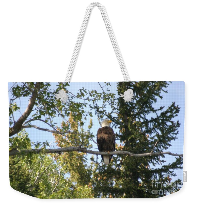 Bird Weekender Tote Bag featuring the photograph American Eagle by Living Color Photography Lorraine Lynch