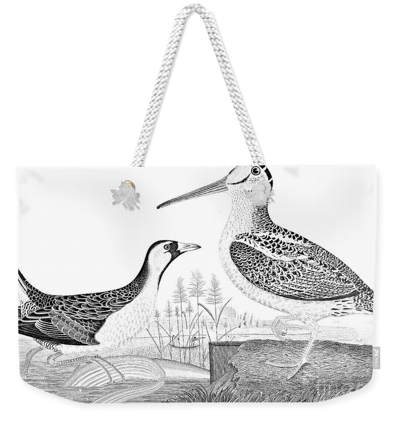 1810s Weekender Tote Bag featuring the photograph American Ornithology by Granger