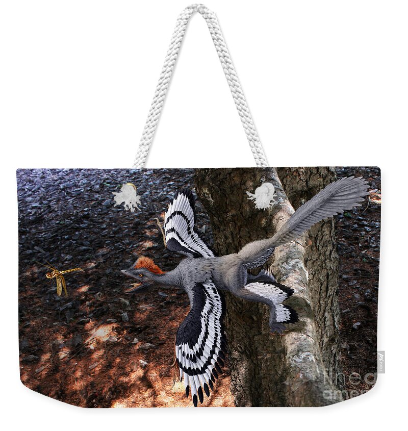 Paleoart Weekender Tote Bag featuring the digital art Anchiornis huxleyi by Julius Csotonyi