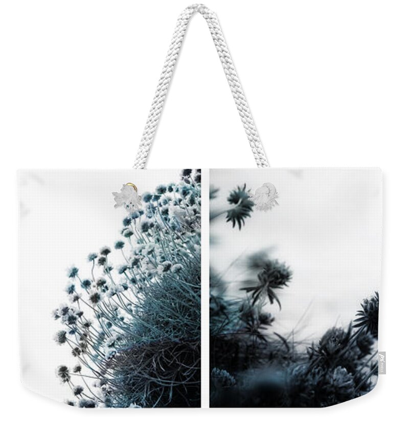 Wild Flowers Weekender Tote Bag featuring the photograph Andante by Dorit Fuhg