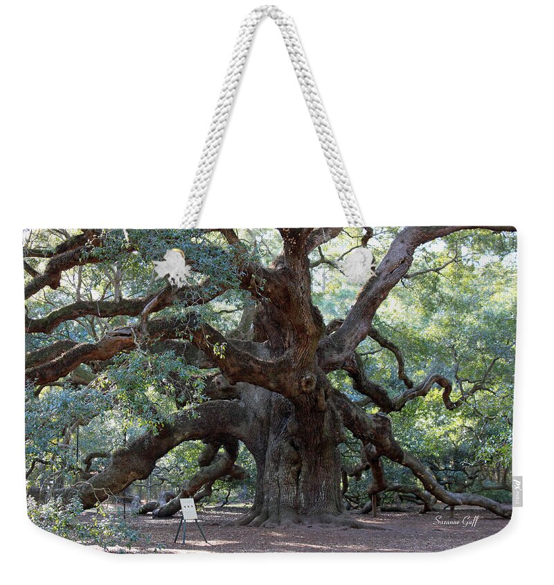 Angel Oak Weekender Tote Bag featuring the photograph Angel Oak - Dont Climb or Carve on the Tree by Suzanne Gaff