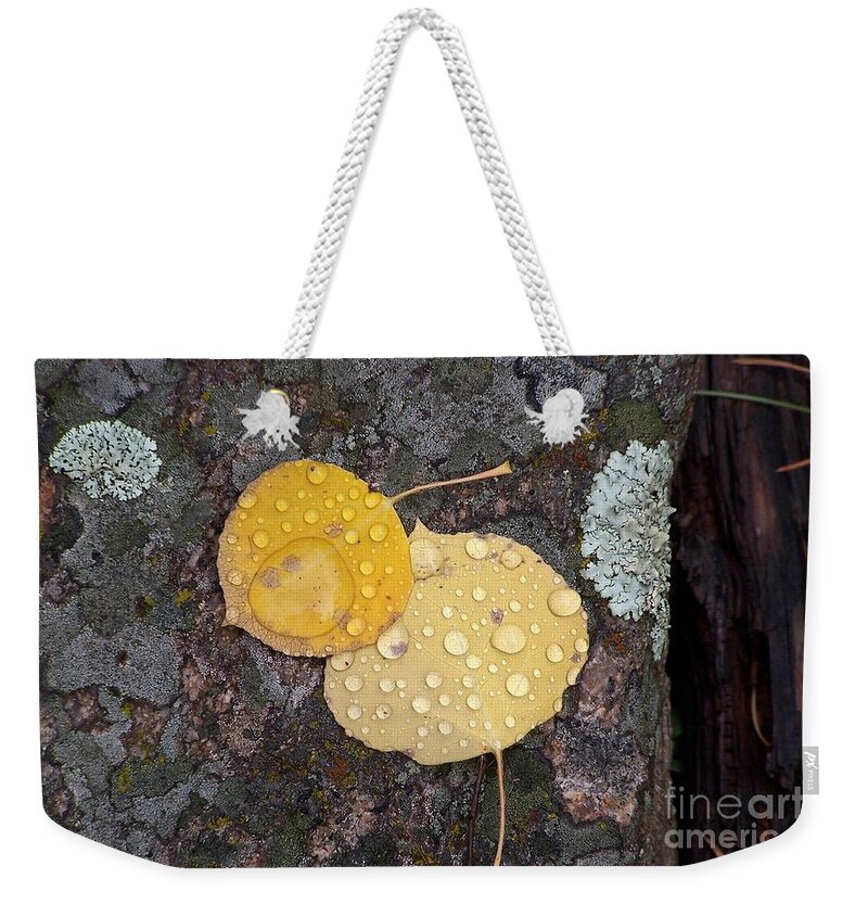 Aspen Leaves Weekender Tote Bag featuring the photograph Aspen Tears by Dorrene BrownButterfield