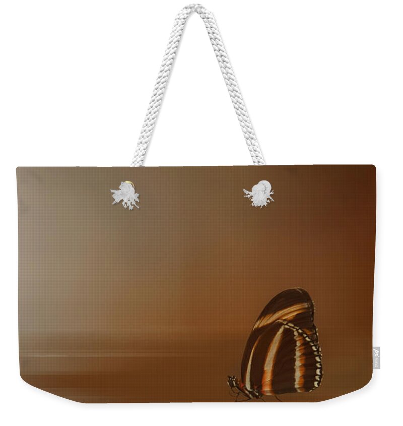 Golden Weekender Tote Bag featuring the digital art Attraction by Robin Webster