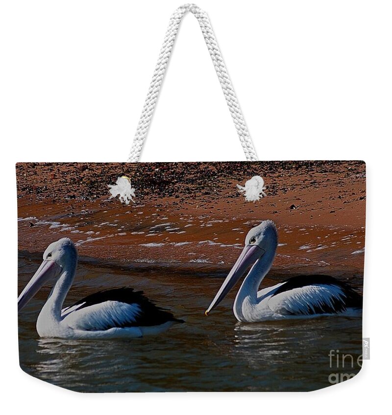 Australia Weekender Tote Bag featuring the photograph Australian Pelicans by Blair Stuart