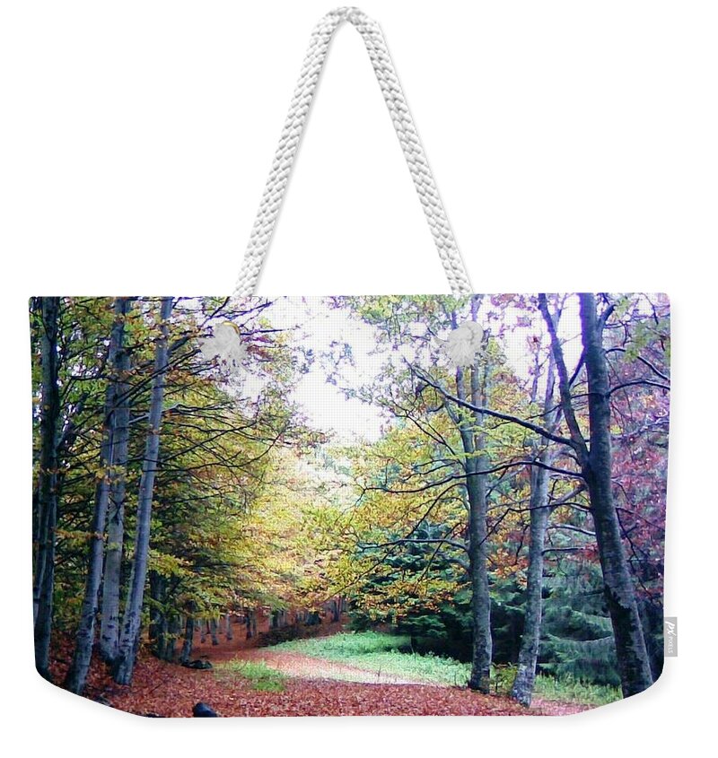 Nature Weekender Tote Bag featuring the photograph Autumn at Red Mountain by Amalia Suruceanu