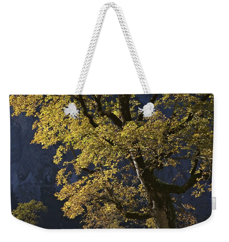Mp Weekender Tote Bag featuring the photograph Autumn Colors, Austria by Konrad Wothe