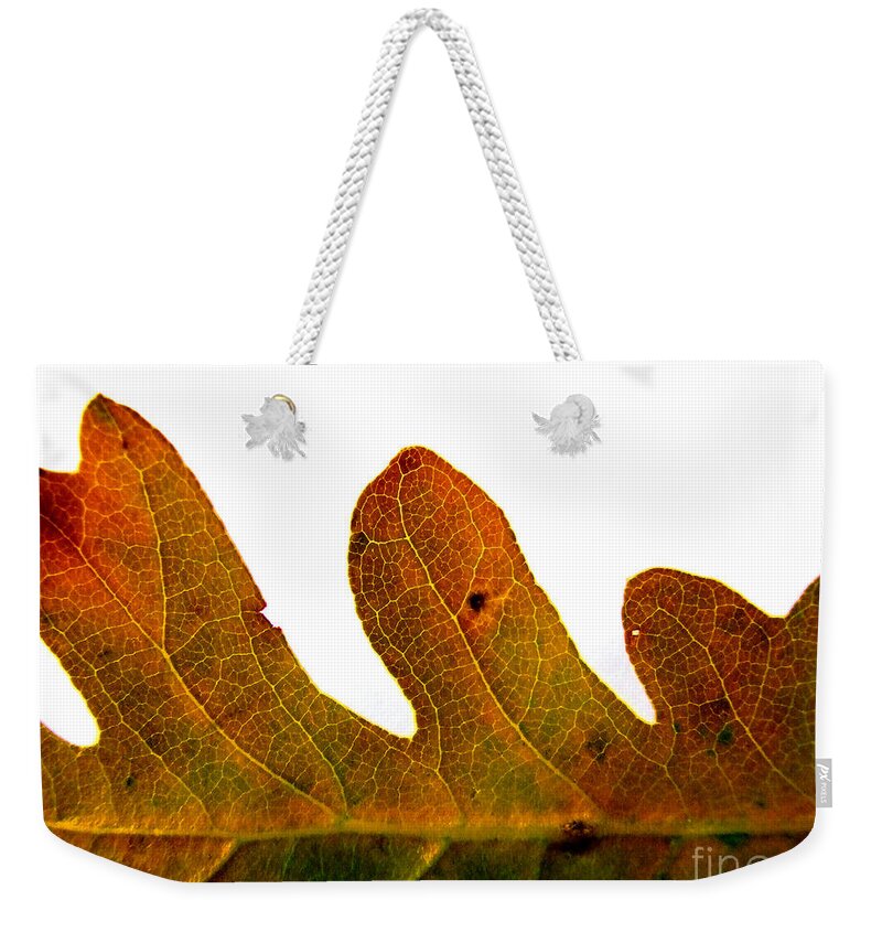 Artoffoxvox Weekender Tote Bag featuring the photograph Autumn Leaf Macro Photograph by Kristen Fox