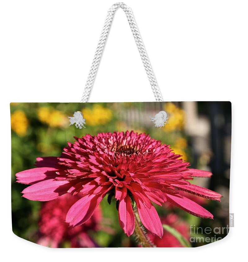 Outdoors Weekender Tote Bag featuring the photograph Autumn Pink by Susan Herber