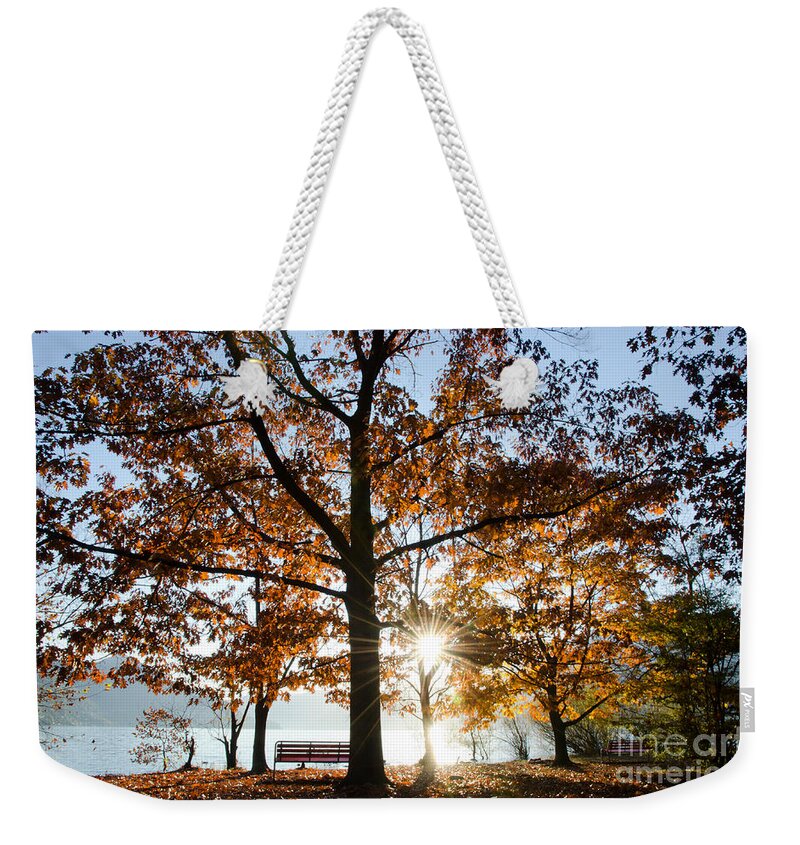 Autumn Weekender Tote Bag featuring the photograph Autumn trees by Mats Silvan