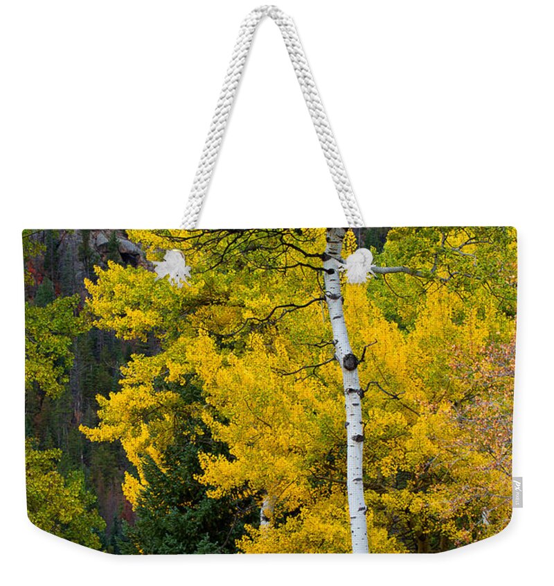 Autumn Colors Weekender Tote Bag featuring the photograph Autumn Wonder by Jim Garrison