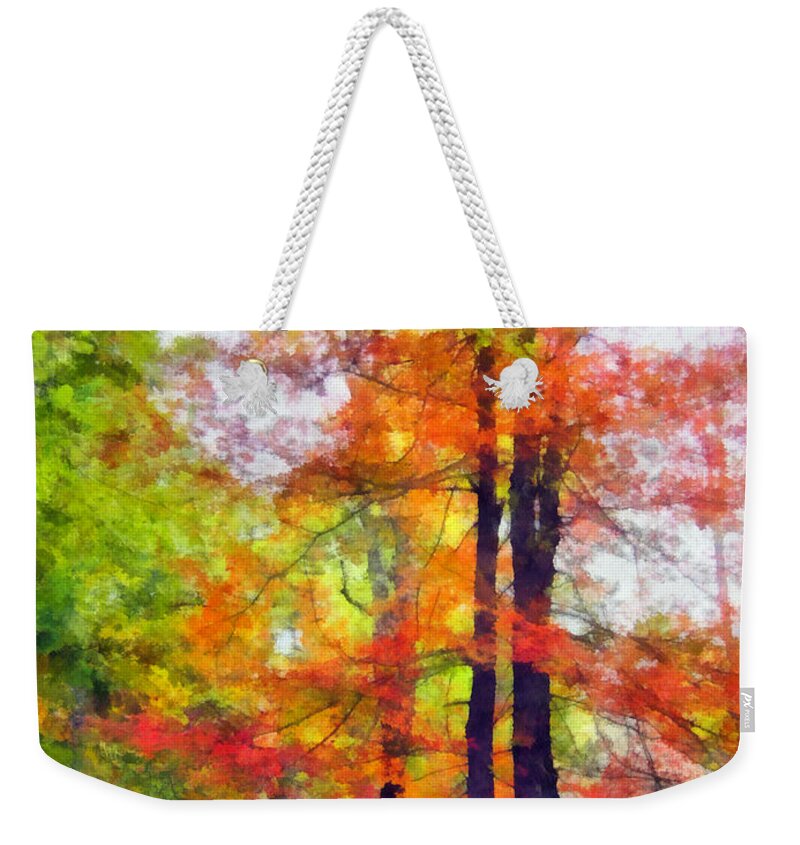 Tree Weekender Tote Bag featuring the photograph Autumnal Rainbow by Angelina Tamez