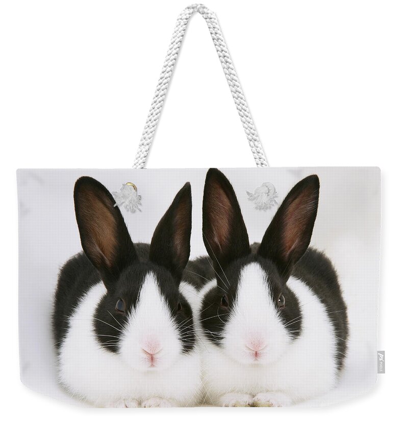 Black-and-white Dutch Rabbit Weekender Tote Bag featuring the photograph Baby Black-and-white Dutch Rabbits by Jane Burton