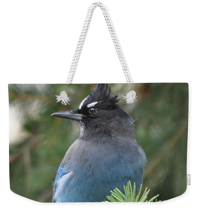 Birds Weekender Tote Bag featuring the photograph Bad Hair Day by Dorrene BrownButterfield