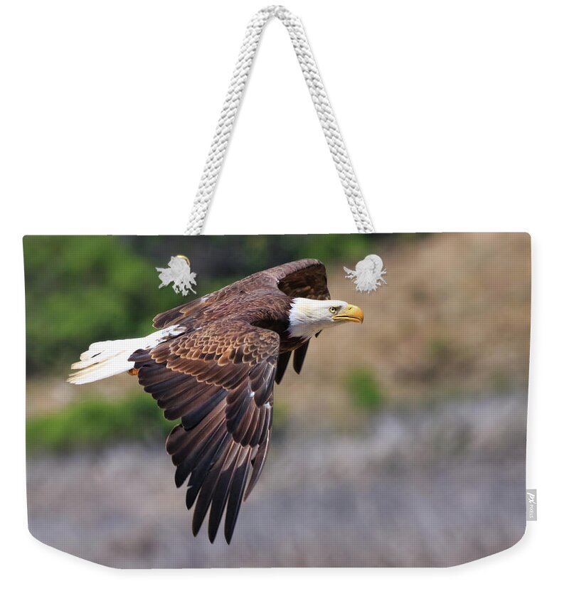 Bald Eagle Weekender Tote Bag featuring the photograph Bald Eagle by Beth Sargent